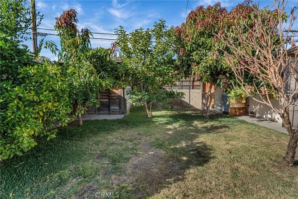 Property photo 31
