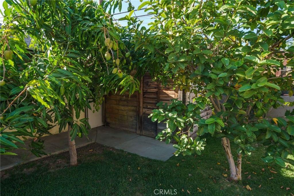 Property photo 40