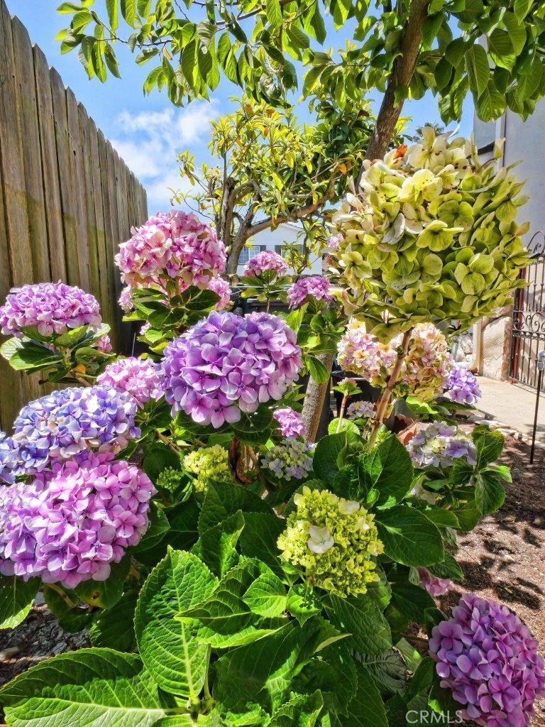 Property photo 39