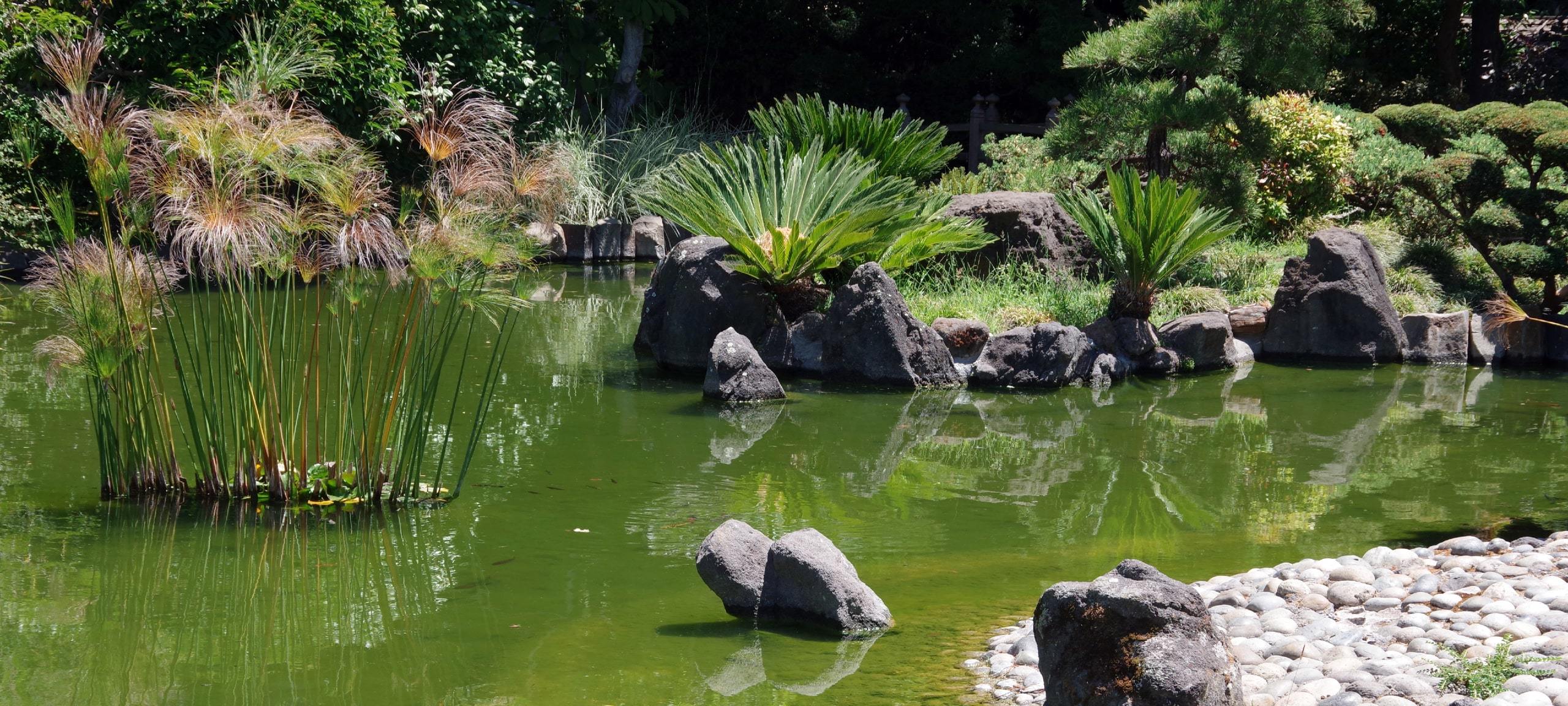 Japanese gardens at San Mateo Central Park, CA